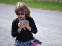 DSC_0586 (LARGE).JPG